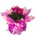 Cyclamen