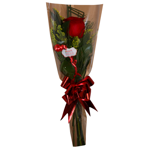 Ramalhete de 1 Rosa Imp. Envelope