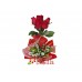 Topiaria de Rosas Vermelhas Nacionais 