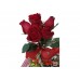 Topiaria de Rosas Vermelhas Nacionais 