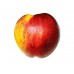 Nectarina  Nectarina